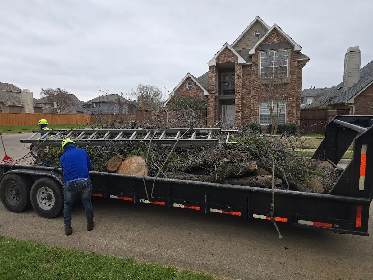 Expert Tree Fertilization with proper safety equipment in Moon